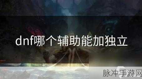 DNF最强辅助大盘点，卢克Raid带哪个辅助职业好