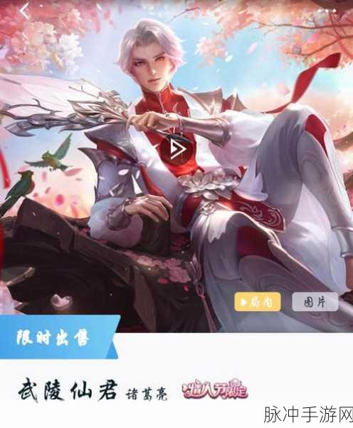 王者荣耀诸葛亮武陵仙君返场详情大揭秘