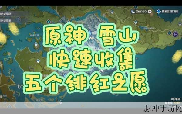原神攻略，忍冬之果获得详解与高效获取方法
