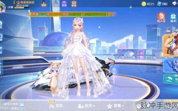 QQ飞车手游纯白花嫁花费详解，浪漫与速度的完美邂逅