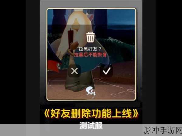 光遇手游攻略,详解如何删除好友