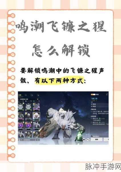 鸣潮八方藏品成就达成全攻略，解锁你的探索之旅