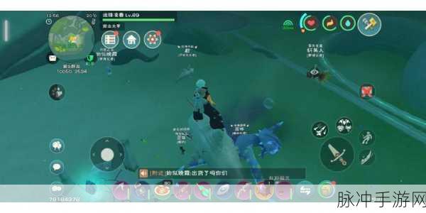 创造与魔法深度攻略，章鱼与琼娥，谁才是你的最佳伙伴？