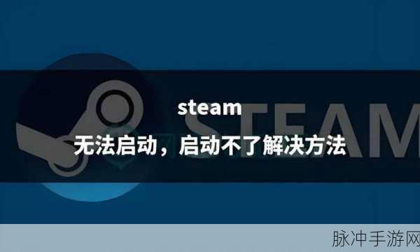 iOS/Steam 手机版进不去？看这里的完美解决攻略