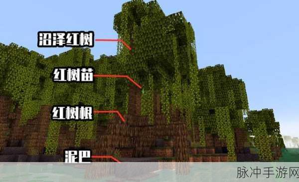 我的世界睡莲全方位作用解析