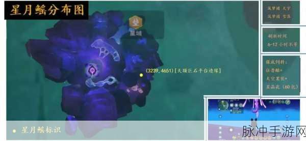 创造与魔法手游攻略，揭秘天空鳐饲料保底数量