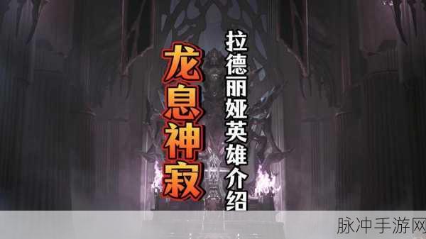 龙息神寂手游攻略，快手小子布洛迪技能深度解析