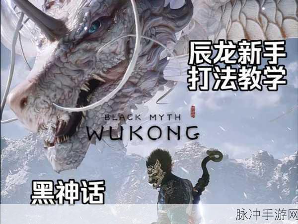 黑神话悟空手游攻略，揭秘辰龙所需丹药之谜