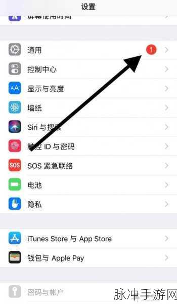 新iPhone如何激活使用，手游玩家必备激活步骤详解