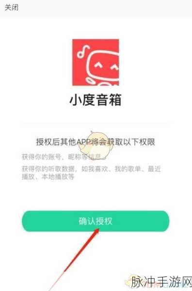 天翼小度手游深度攻略，如何高效添加好友并享受游戏乐趣