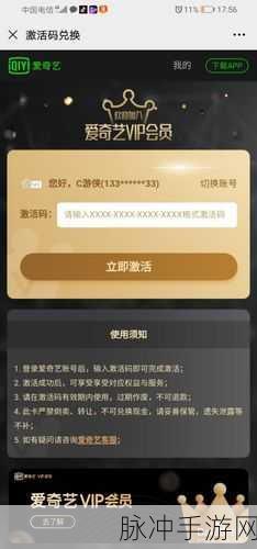 爱奇艺多人共享攻略，手游玩家的VIP特权共享秘籍