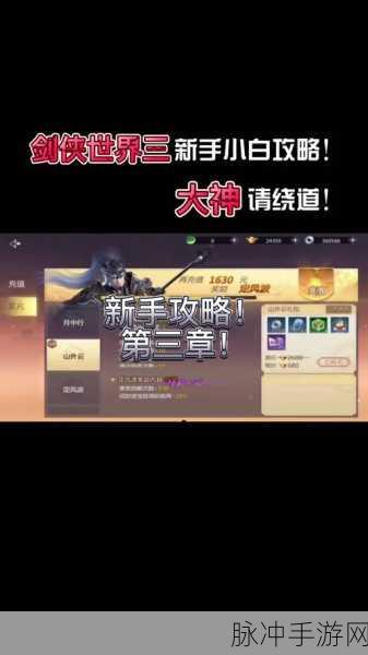 剑侠世界3精英福袋获取攻略，快速解锁稀有道具的秘籍