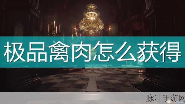 生化危机 8 手游，禽肉获取全指南