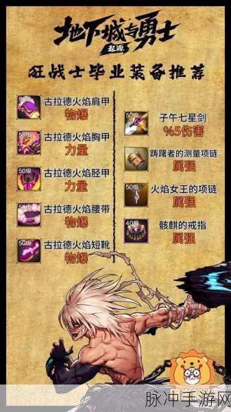 DNF手游攻略，揭秘哪个职业最适合穿戴黄金套装及其优势