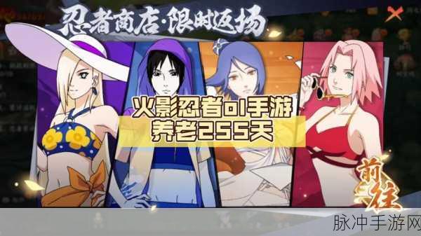 火影忍者OL手游梅塔尔阵容搭配全攻略