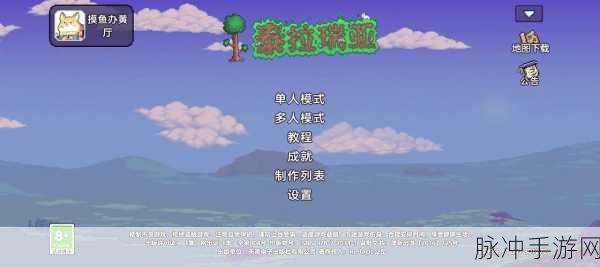 畅玩泰拉瑞亚国服联机的全方位指南
