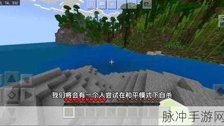 我的世界生存挑战，自杀指令全揭秘