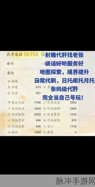 射雕红尘戏神秘货郎成就全攻略，解锁隐藏成就的秘籍