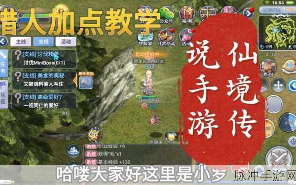 仙境传说RO手游AD猎人技能加点全攻略