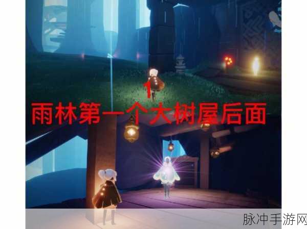 光遇探秘，雨林先祖隐匿之所大揭秘