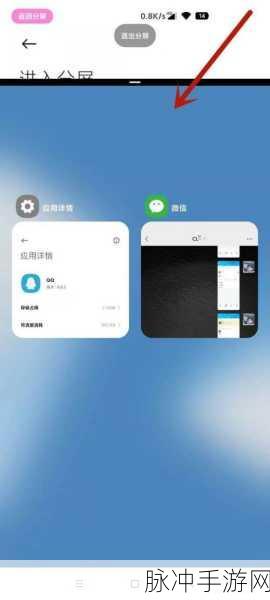 小米手机应用分屏秘籍，手游高效操作指南