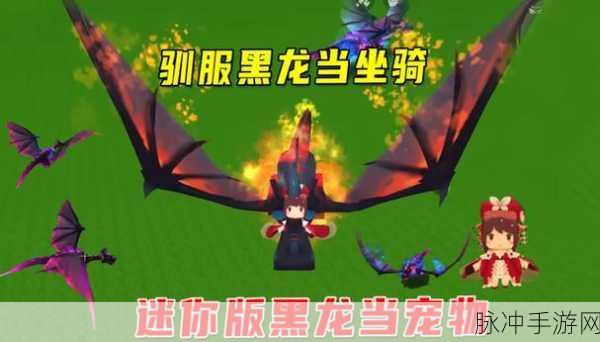迷你世界黑龙蛋弄碎啦？别担心，这里有攻略！