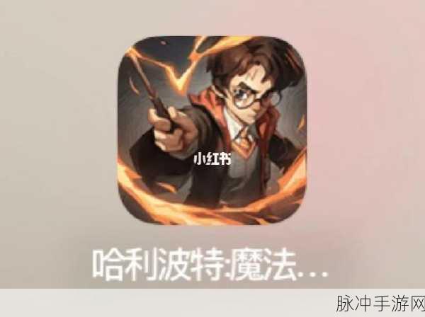 哈利波特魔法觉醒，全面解析救援队友任务教程