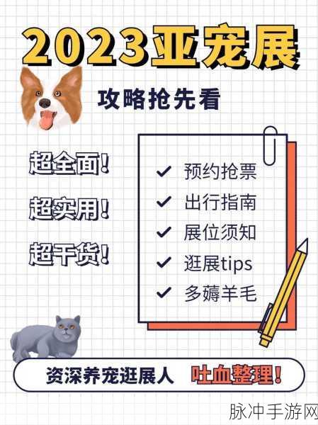 抖音手游移除桌面后的回归指南