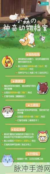 小森生活中取消狗狗跟随的秘籍指南