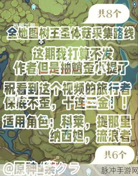 原神手游攻略，揭秘渡来禽肉食谱的获取之道