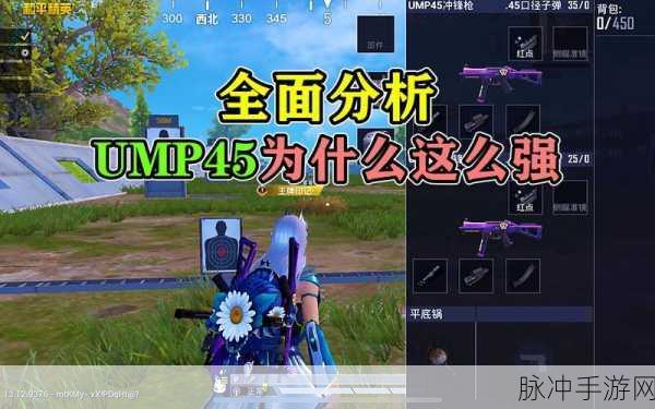 和平精英UMP45深度解析，伤害数据、使用技巧与图鉴介绍