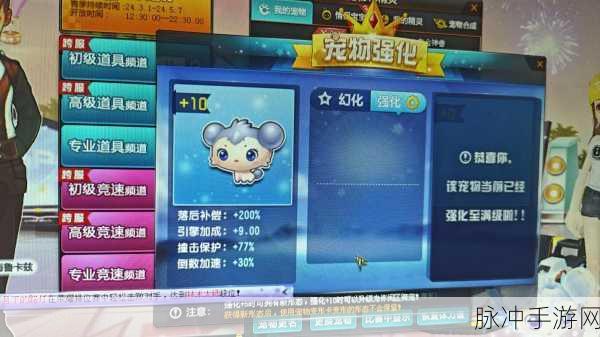 QQ飞车手游宠物获取全攻略，解锁所有宠物的秘密