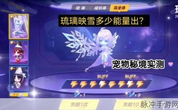 QQ飞车手游宠物获取全攻略，解锁所有宠物的秘密