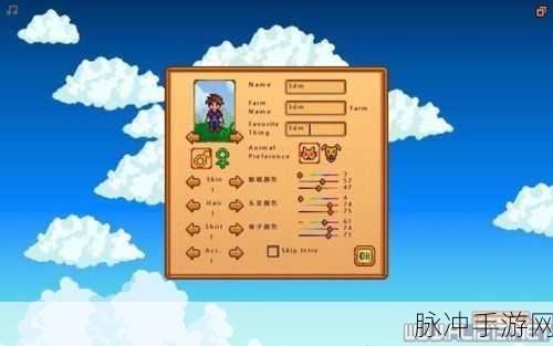 DNF圣耀服务体系详解介绍，全面解析与攻略指南