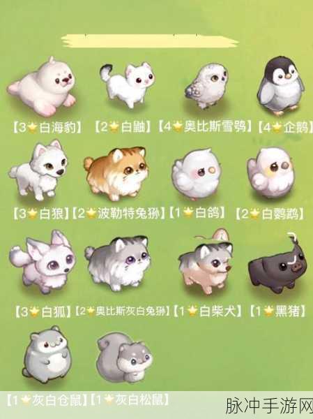 奥比岛手游孵蛋指南，孵化宠物蛋活动位置全揭秘