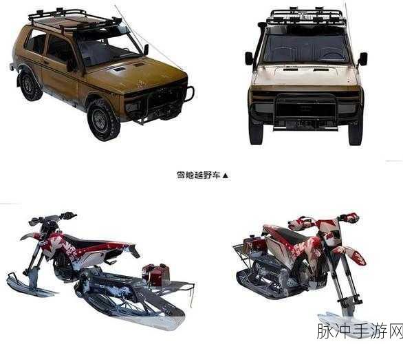 和平精英，四款动物载具造型全解析与战斗秘籍