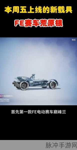 和平精英，四款动物载具造型全解析与战斗秘籍