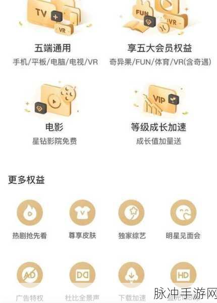 爱奇艺手游会员，如何设置5人共用攻略
