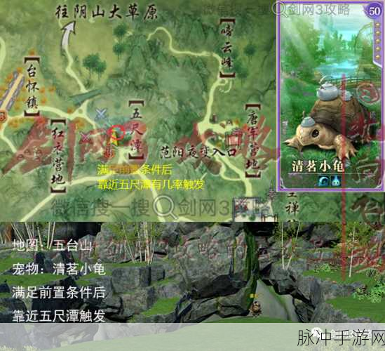 剑网3手游深度攻略，解锁沧海笛宠物奇遇的详尽步骤