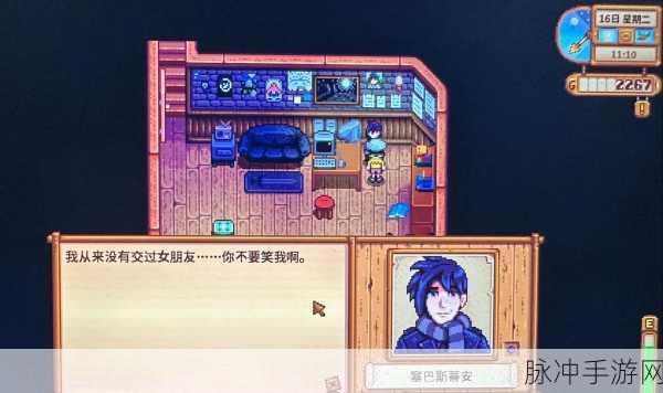 星露谷物语浪漫关系抉择，NPC 谁是最佳伴侣
