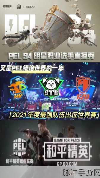 和平精英应援战队全攻略，助力你的战队闪耀赛场