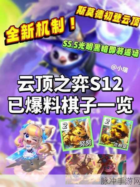 云顶之弈S8棋子全面盘点，2024赛季旗子攻略大全