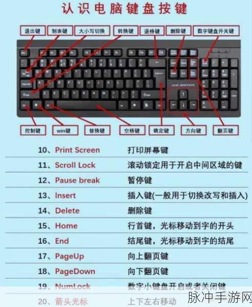 代号Z新手玩家全面进阶，解锁快速升级的秘密技巧