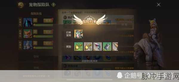 龙之谷2手游，全方位宠物获取与培养详尽攻略大揭秘