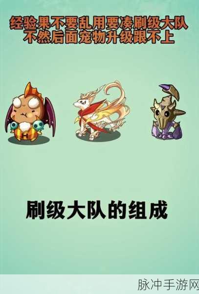 洛克王国稀有宠物全攻略，时间与地点大揭秘