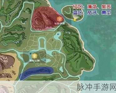 创造与魔法旧微光森林探险全攻略