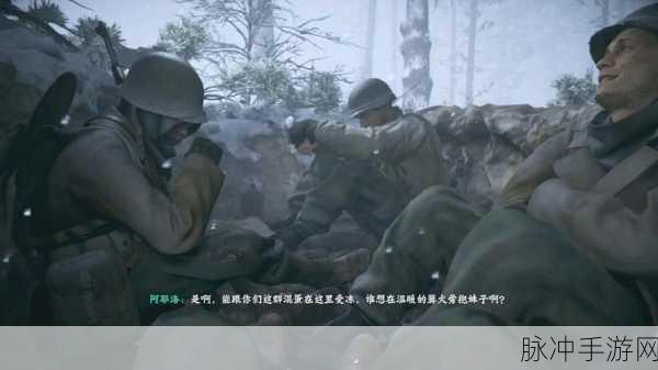 使命召唤14二战突出部战役深度攻略上篇，策略与技巧详解