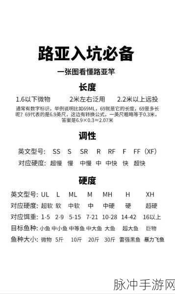 波西亚时光，全面掌握钓鱼技巧，从选饵到收杆的策略指南