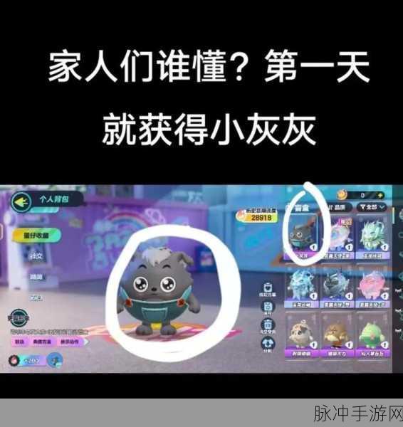蛋仔派对小灰灰助力活动全攻略