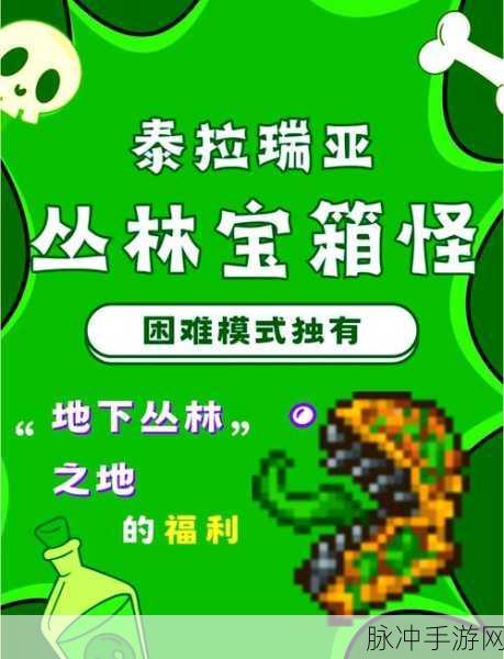 泰拉瑞亚丛林居所 NPC 安置秘籍